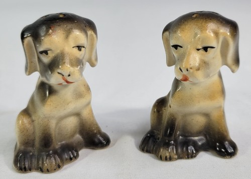Vintage labrador puppy - labrador, &