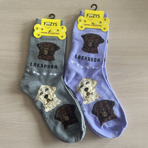 Labrador dog puppy women - puppy, women's