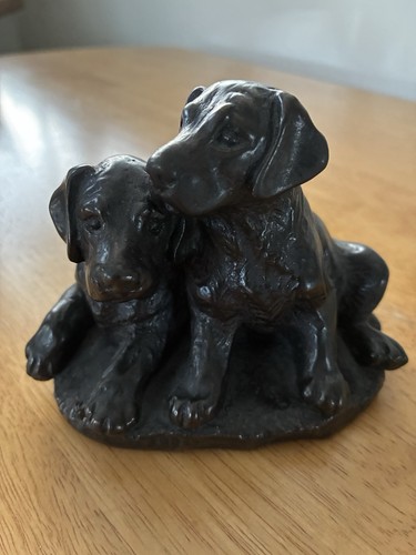 Pair black labrador puppies - labrador,