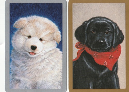 Pair samoyed black - samoyed, &
