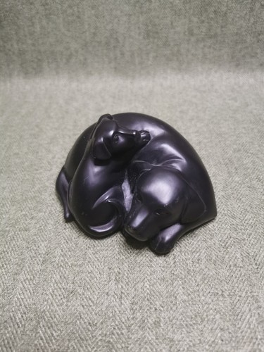 Black labrador puppy dog - labrador,