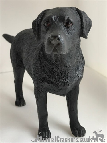 Black labrador dog - black, ornament