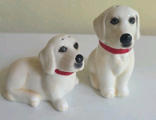 White labrador retriever - white,