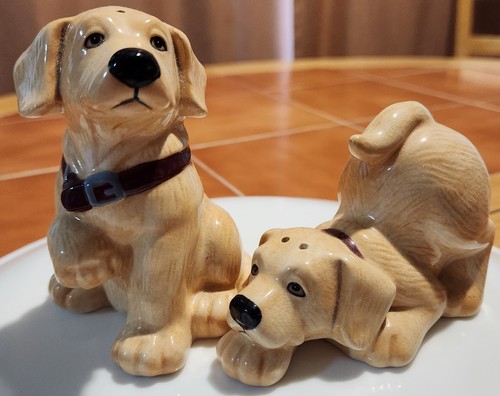 Big ski canine yellow labrador - big,