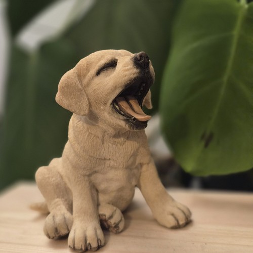 Country artists labrador puppy - artists,