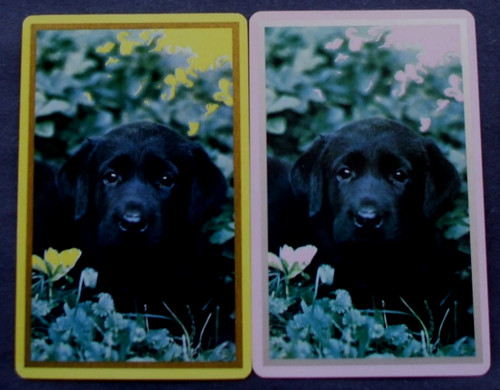 Single swap playing cards - playing,