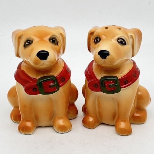 Golden retriever labrador - golden,
