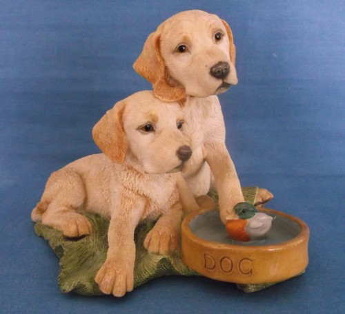 Country artists pair labrador - pair,