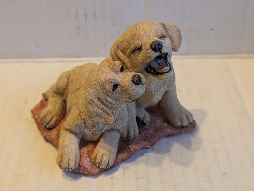 Adorable country artists - country, puppy