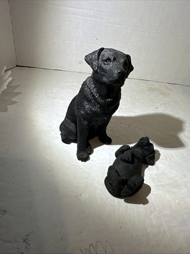 Sandicast pair black - sandicast,
