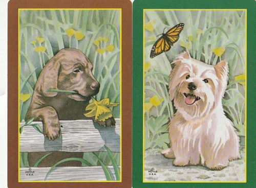 Pair terrier labrador - pair, &