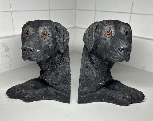 Vtg black labrador - vtg, dog
