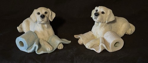 Pair labrador puppies - labrador,