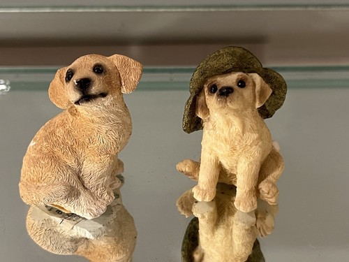 Lot critters - lot,