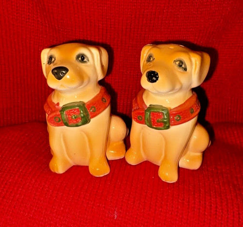 Golden retriever labrador - golden,