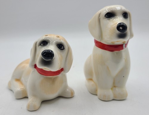 White labrador retriever dog - labrador,