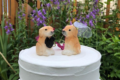 Labrador dog puppy cake - puppy, top
