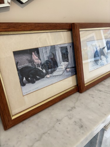 Pair framed jim - framed, killen
