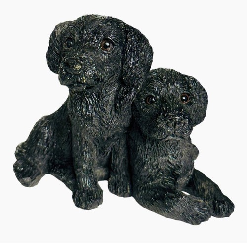 Dog mate labradors love - labradors,