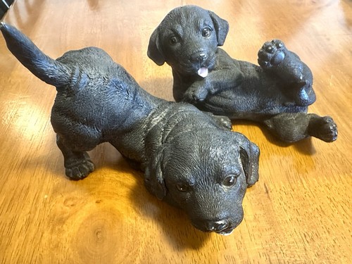 Vintage black labrador - black,
