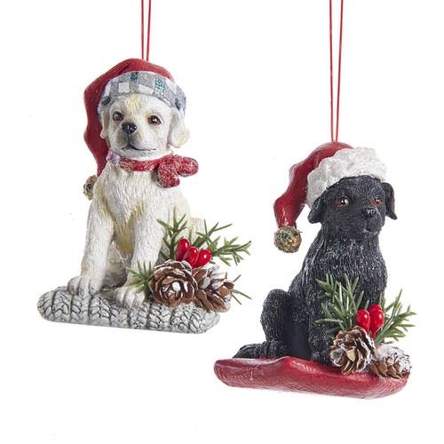 Labrador puppy with pinecones - puppy,