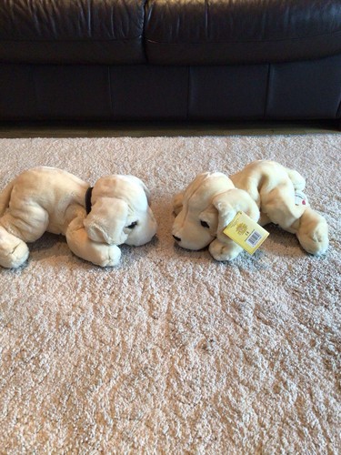 Pair keel labrador toy - of,